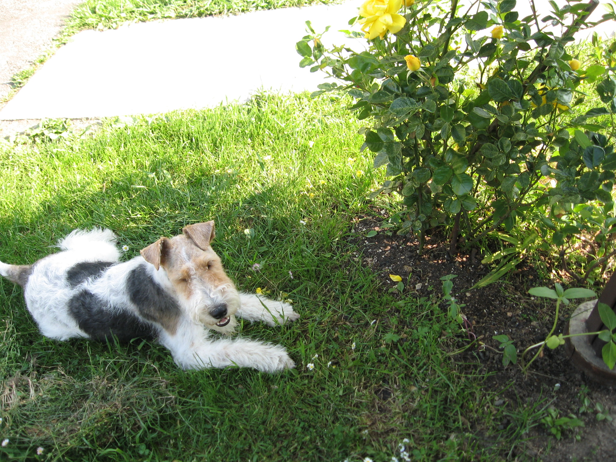 Foto 019.jpg