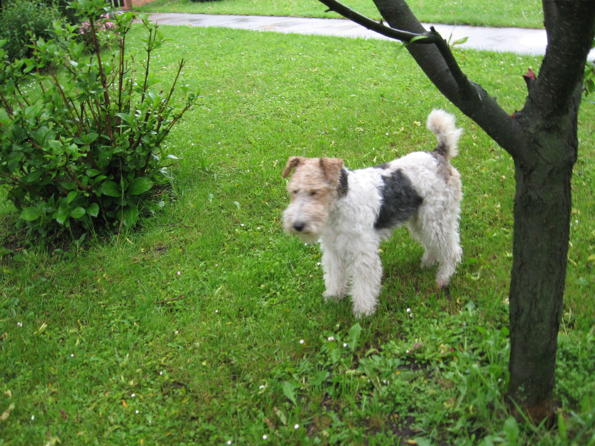 Waldíček 014.jpg