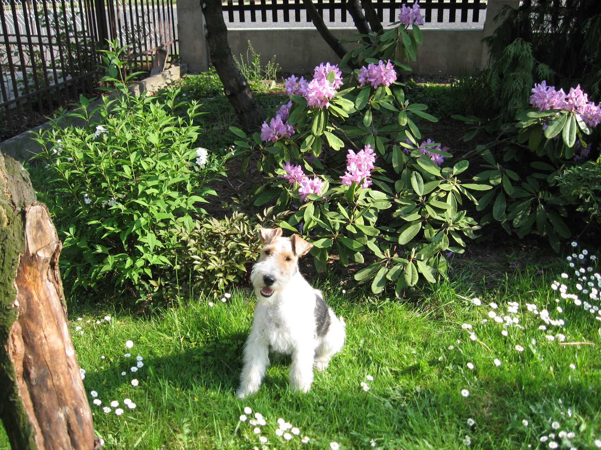Foto 014.jpg